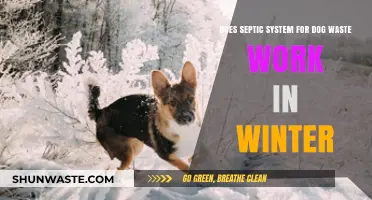 Winter-Proofing Your Septic System: Managing Dog Waste in Cold Climates