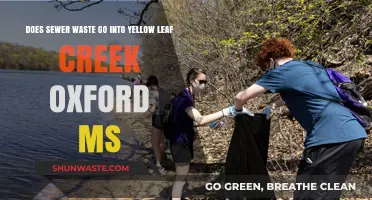 Does Oxford, MS Sewer Waste Contaminate Yellow Leaf Creek?