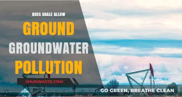 Shale's Impact: Groundwater Pollution Risk?