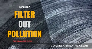 Shale's Pollution-Filtering Power: How Effective?
