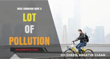 Shanghai's Pollution Problem: A City's Battle