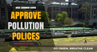 Shannon Grove's Stance on Pollution Policies: A Critical Review