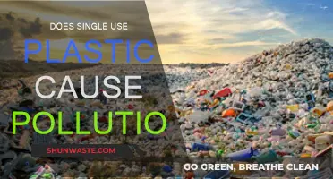 Single-Use Plastics: A Global Pollution Crisis