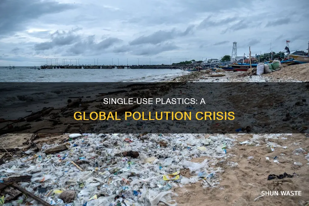 does single use plastic cause pollution