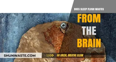 Sleep's Role in Brain Detox: Flushing Wastes for Optimal Health