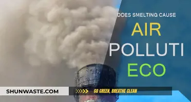 Smelting's Impact: Unveiling the Environmental Cost of Air Pollution