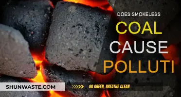 Smokeless Coal: A Green Energy Myth or Reality?