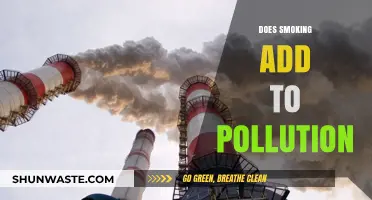 Smoking's Pollution Impact: A Double Whammy on Health