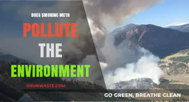 Meth: Environmental Impact and Health Hazards