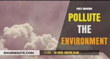 Smoking's Environmental Impact: A Polluting Habit