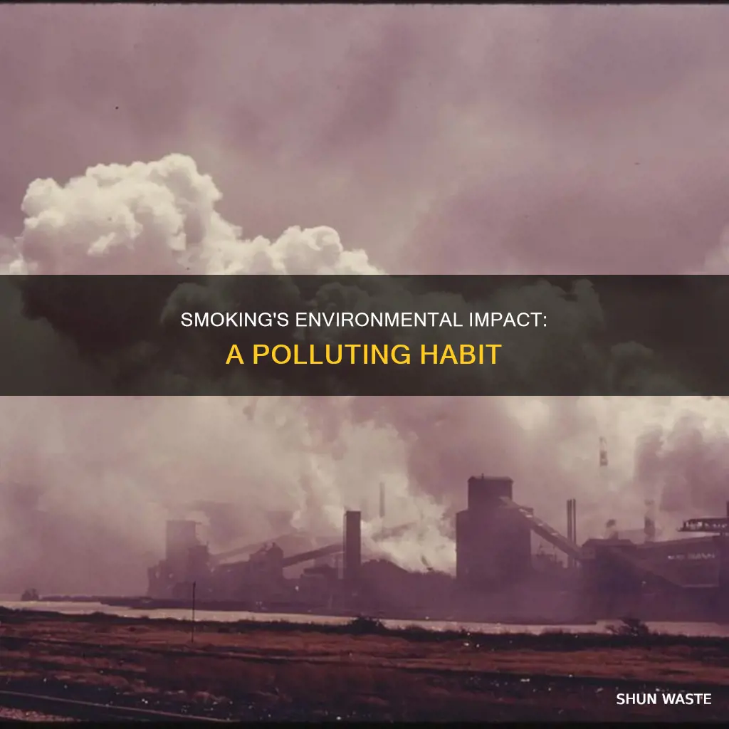 does smoking pollute the environment