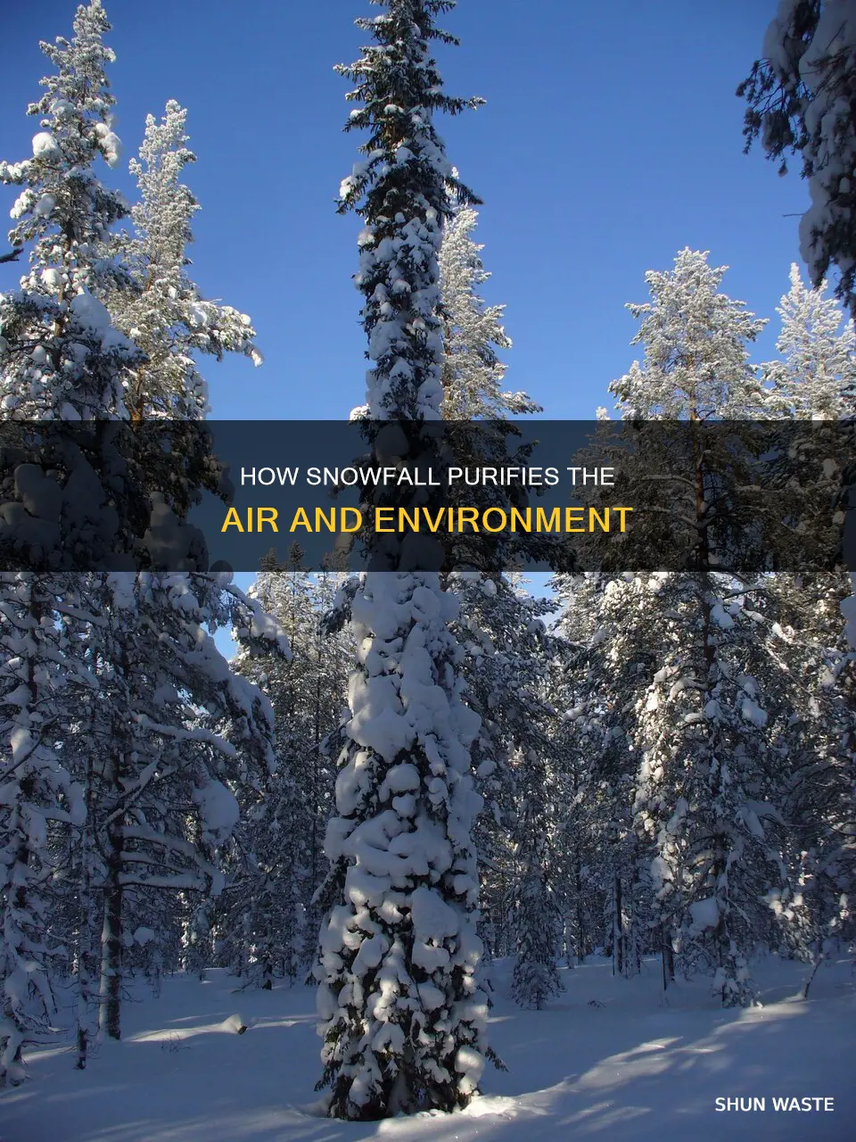 does snow clean pollution