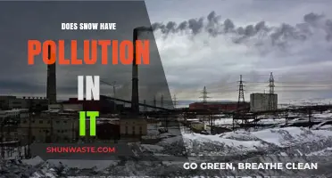 How Polluted is Snow?