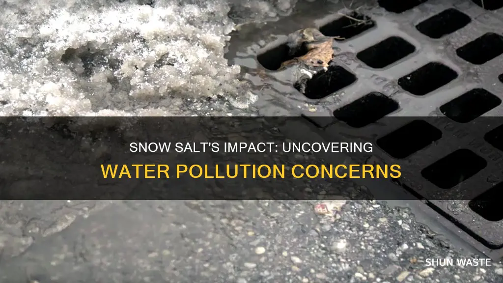 does snow salt pollute water