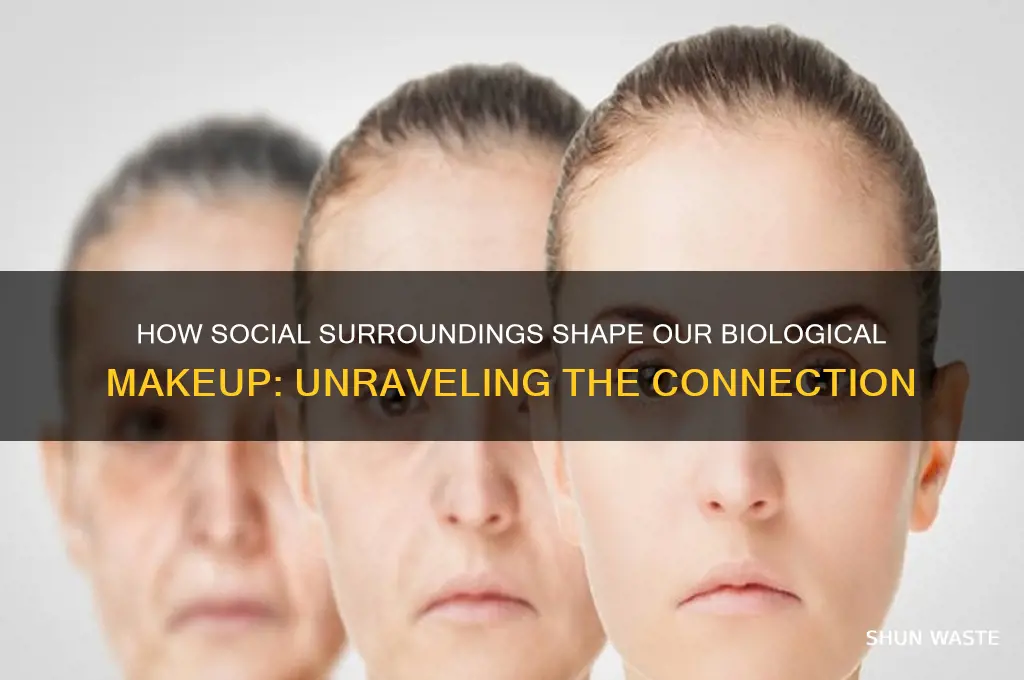 does social environment affect biology