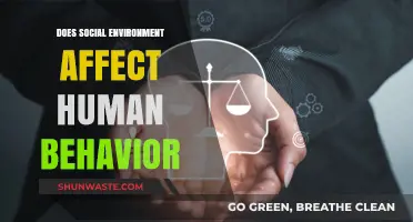 How Social Environments Shape Human Behavior: Insights and Influences