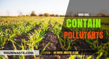 Soil Pollution: Understanding the Contaminants in Our Soil