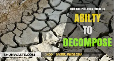 Soil Pollution: Decomposition's Unseen Enemy?