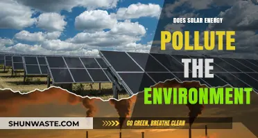 Solar Energy: Friend or Foe of the Environment?