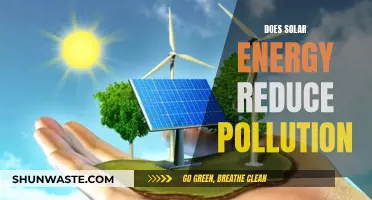 Solar Power: Pollution Solution or Just a Dream?