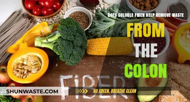 Soluble Fiber's Role in Colon Cleansing: Waste Removal Explained