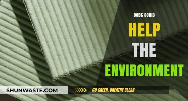 Sonic's Green Impact: How the Hedgehog Helps the Environment