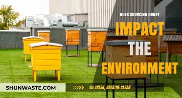 Honey Sourcing: Environmental Impact and Sustainable Practices Explored