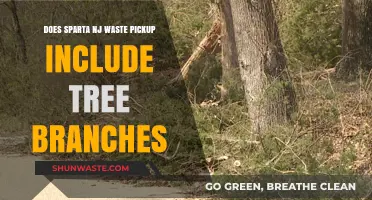 Sparta NJ Waste Pickup: Tree Branches Included or Not?