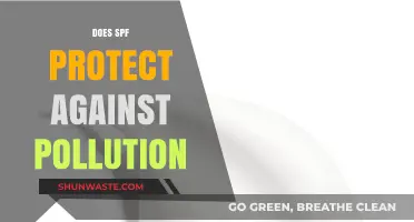 SPF: Pollution Protection or Urban Myth?