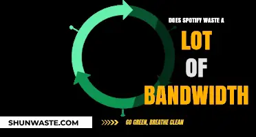 Does Spotify Consume Excessive Bandwidth? Analyzing Streaming Data Usage