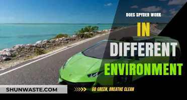 Spyder's Cross-Environment Compatibility: Functionality Across Diverse Platforms