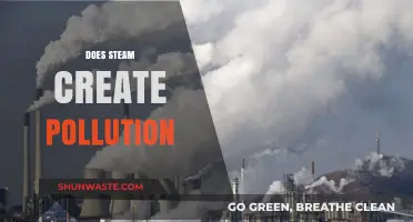 Steam and Pollution: Is There a Link?