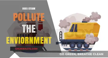 Steam's Environmental Impact: Polluting or Not?
