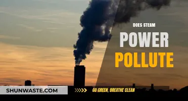 Steam Power: Polluting or Not?