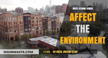 Storm Surge Impacts: Environmental Consequences and Ecosystem Disruptions Explained
