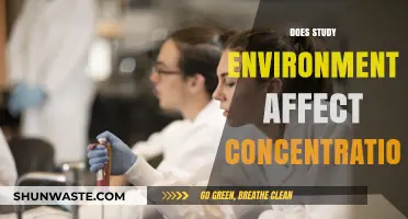 How Your Study Environment Impacts Focus and Concentration Levels