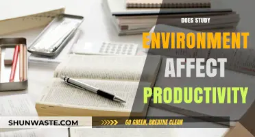 Boosting Productivity: How Your Study Environment Shapes Focus and Efficiency