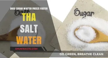 Sugar vs. Salt Water: Which Freezes Faster and Why?