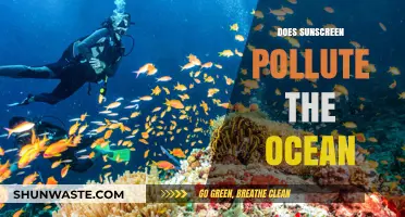 How Sunscreen Contributes to Ocean Pollution
