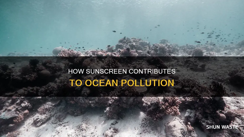 does sunscreen pollute the ocean