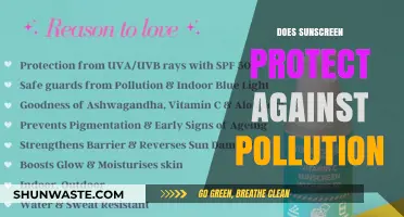 Protecting Skin: Sunscreen and Pollution