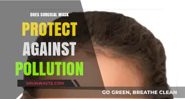 Surgical Masks: Effective Pollution Protection?