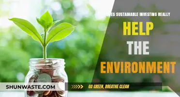 Sustainable Investing: Real Environmental Impact or Just Greenwashing?