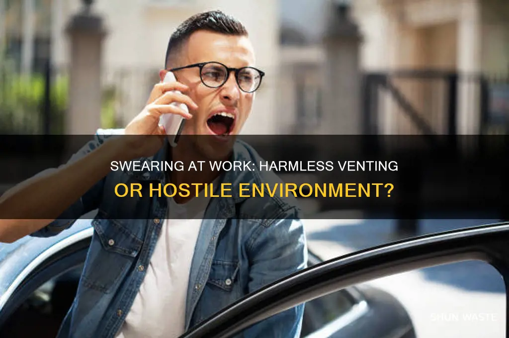 does swearing create a hostile work environment