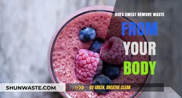 Sweat's Role in Detoxifying Your Body: Fact or Fiction?
