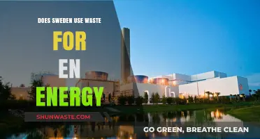 Sweden's Waste-to-Energy Revolution: Sustainable Power from Trash