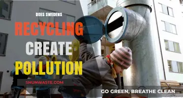 Sweden's Recycling: Green or Polluting?