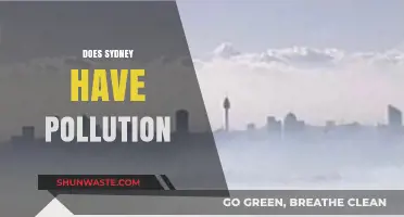 Sydney's Pollution Problem: A Comprehensive Overview
