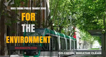 Is Public Transit the Eco-Friendly Choice? Exploring Its Environmental Impact