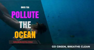 How Tea Bags Pollute the Ocean